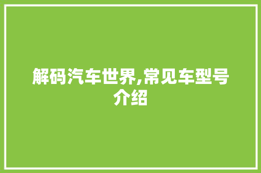 解码汽车世界,常见车型号介绍