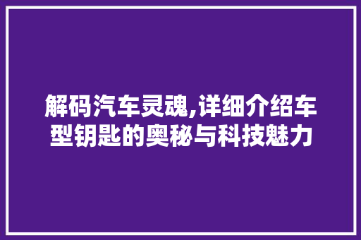 解码汽车灵魂,详细介绍车型钥匙的奥秘与科技魅力
