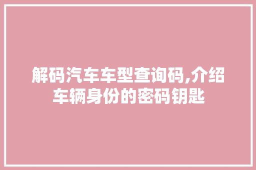 解码汽车车型查询码,介绍车辆身份的密码钥匙