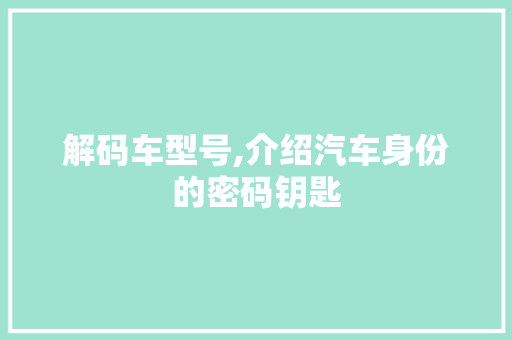 解码车型号,介绍汽车身份的密码钥匙
