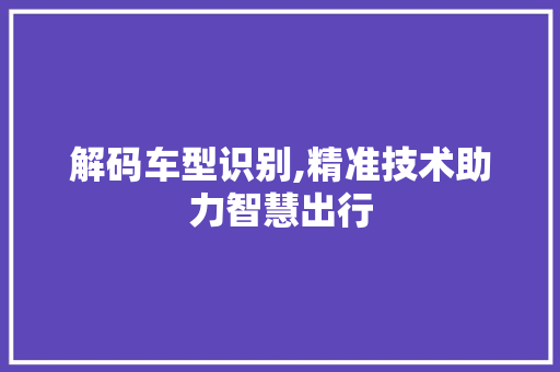 解码车型识别,精准技术助力智慧出行