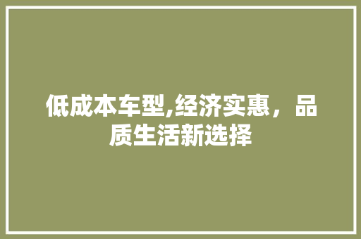 低成本车型,经济实惠，品质生活新选择