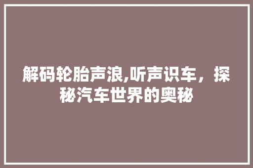 解码轮胎声浪,听声识车，探秘汽车世界的奥秘