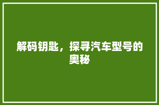 解码钥匙，探寻汽车型号的奥秘