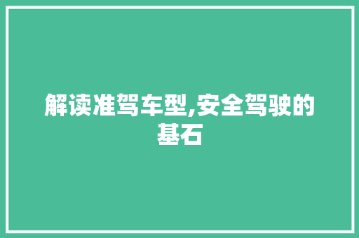 解读准驾车型,安全驾驶的基石