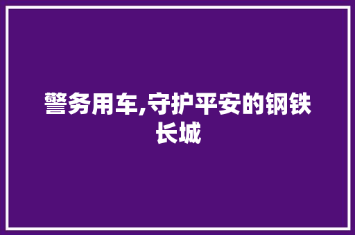 警务用车,守护平安的钢铁长城