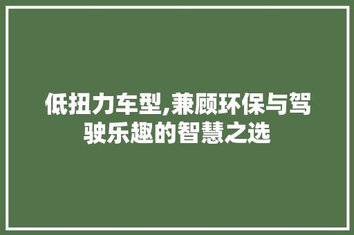 低扭力车型,兼顾环保与驾驶乐趣的智慧之选