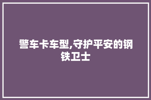 警车卡车型,守护平安的钢铁卫士