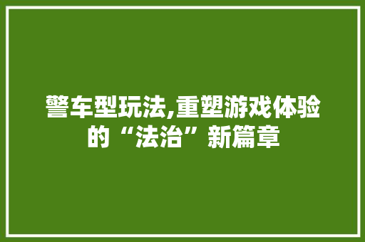 警车型玩法,重塑游戏体验的“法治”新篇章