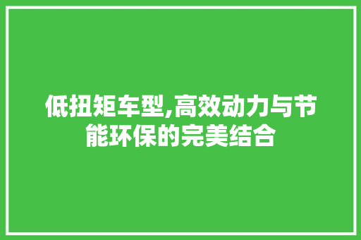 低扭矩车型,高效动力与节能环保的完美结合