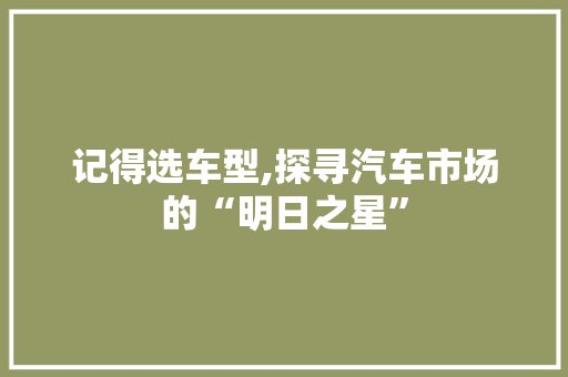 记得选车型,探寻汽车市场的“明日之星”