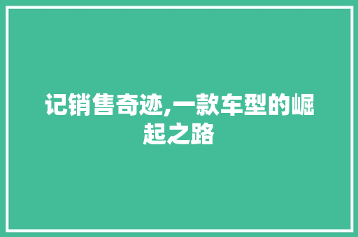 记销售奇迹,一款车型的崛起之路 汽车配件