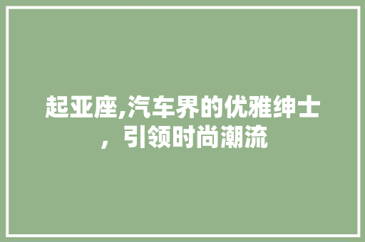 起亚座,汽车界的优雅绅士，引领时尚潮流