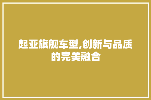 起亚旗舰车型,创新与品质的完美融合