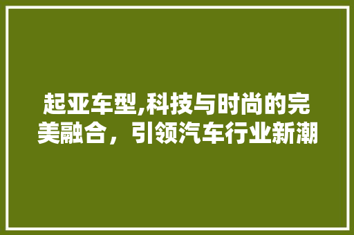 起亚车型,科技与时尚的完美融合，引领汽车行业新潮流