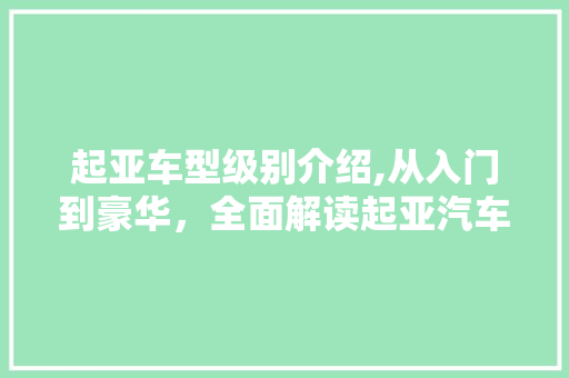 起亚车型级别介绍,从入门到豪华，全面解读起亚汽车世界