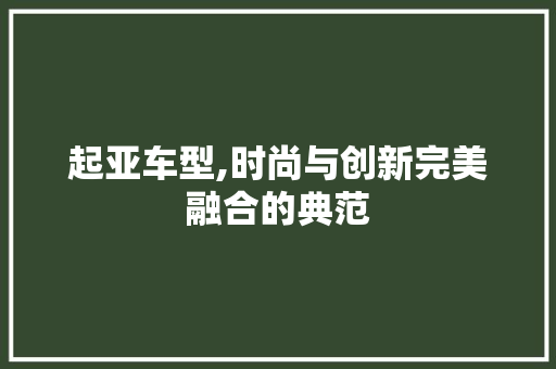 起亚车型,时尚与创新完美融合的典范