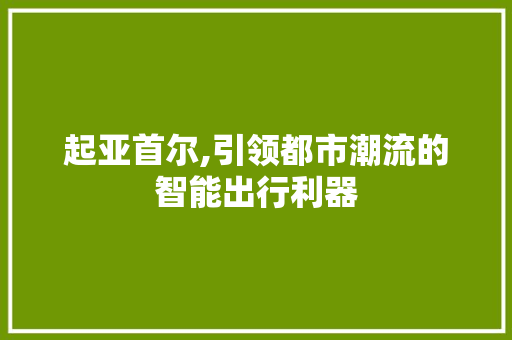 起亚首尔,引领都市潮流的智能出行利器