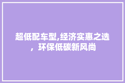 超低配车型,经济实惠之选，环保低碳新风尚