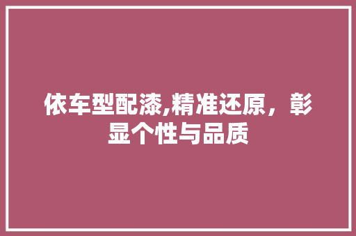 依车型配漆,精准还原，彰显个性与品质