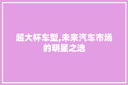 超大杯车型,未来汽车市场的明星之选