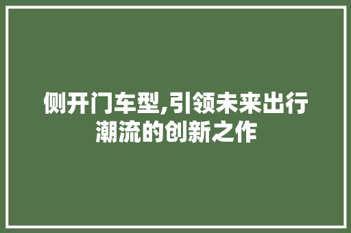 侧开门车型,引领未来出行潮流的创新之作 蓄电池配件