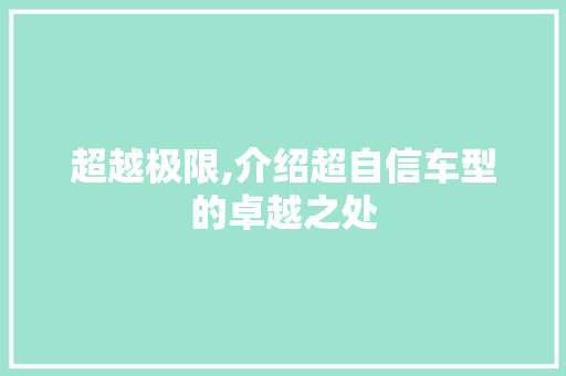 超越极限,介绍超自信车型的卓越之处