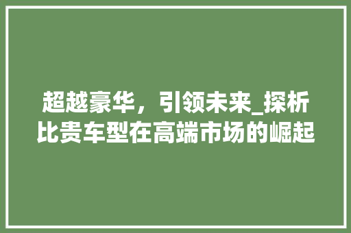 超越豪华，引领未来_探析比贵车型在高端市场的崛起