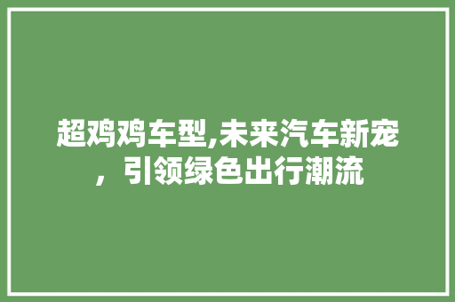 超鸡鸡车型,未来汽车新宠，引领绿色出行潮流