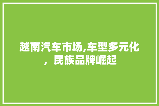 越南汽车市场,车型多元化，民族品牌崛起
