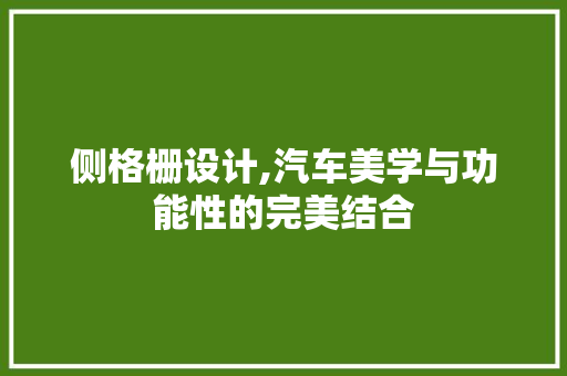 侧格栅设计,汽车美学与功能性的完美结合