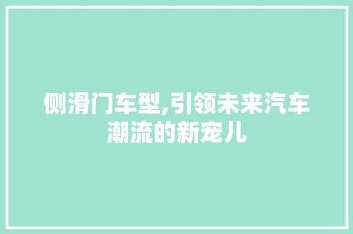 侧滑门车型,引领未来汽车潮流的新宠儿