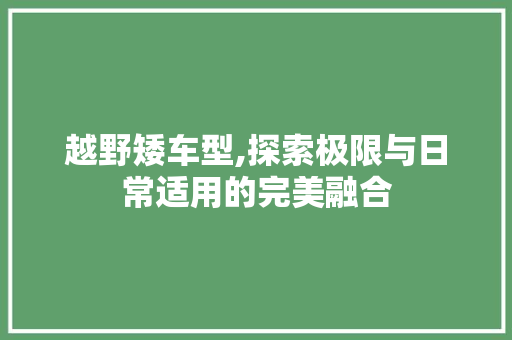 越野矮车型,探索极限与日常适用的完美融合