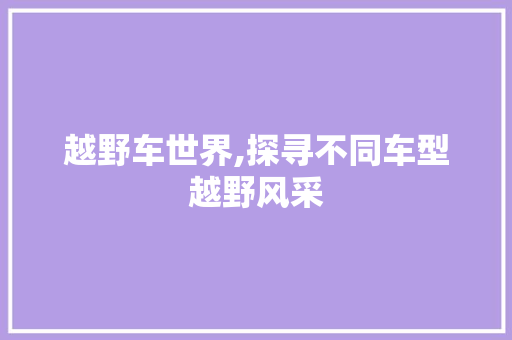 越野车世界,探寻不同车型越野风采