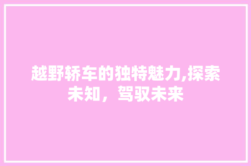 越野轿车的独特魅力,探索未知，驾驭未来
