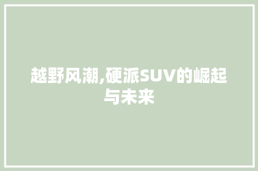越野风潮,硬派SUV的崛起与未来