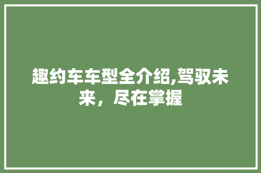 趣约车车型全介绍,驾驭未来，尽在掌握