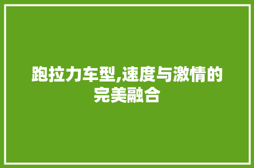 跑拉力车型,速度与激情的完美融合