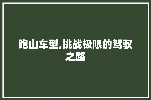 跑山车型,挑战极限的驾驭之路