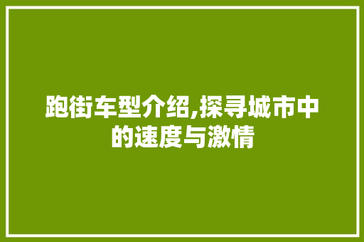 跑街车型介绍,探寻城市中的速度与激情