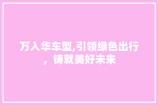 万入华车型,引领绿色出行，铸就美好未来