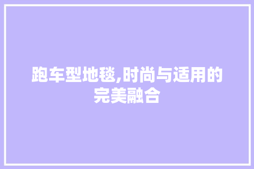 跑车型地毯,时尚与适用的完美融合 车身配件