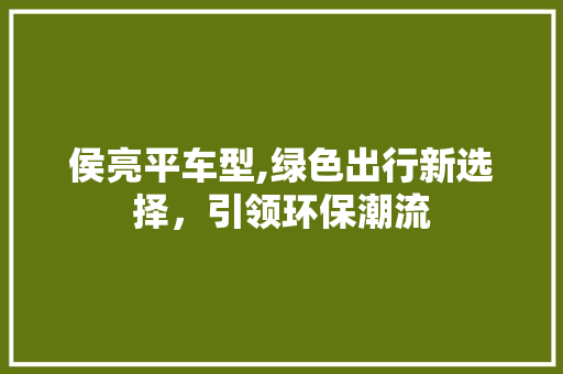侯亮平车型,绿色出行新选择，引领环保潮流