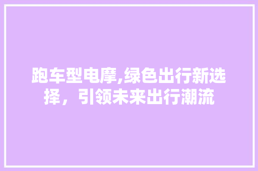 跑车型电摩,绿色出行新选择，引领未来出行潮流