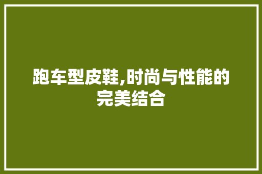 跑车型皮鞋,时尚与性能的完美结合