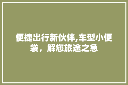 便捷出行新伙伴,车型小便袋，解您旅途之急