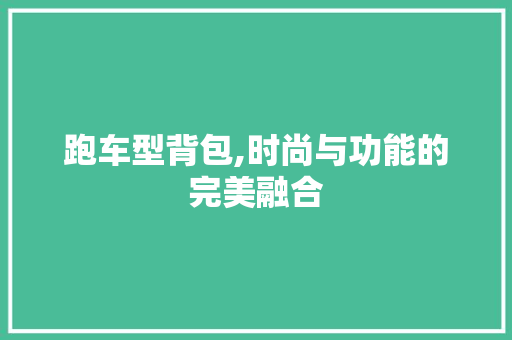 跑车型背包,时尚与功能的完美融合