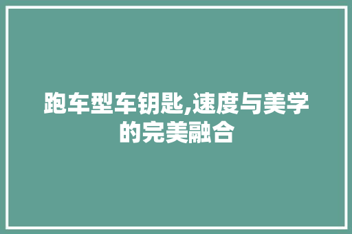 跑车型车钥匙,速度与美学的完美融合