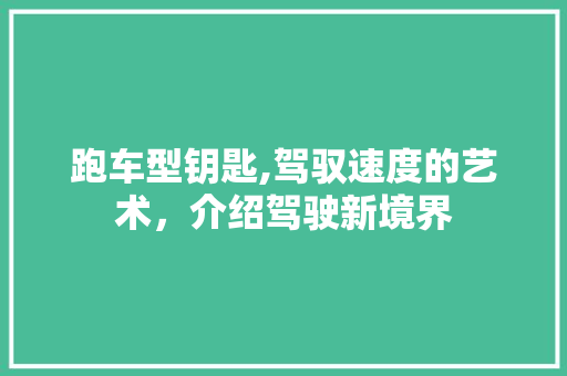 跑车型钥匙,驾驭速度的艺术，介绍驾驶新境界