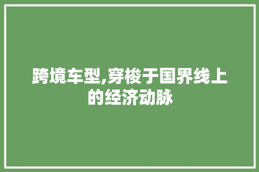 跨境车型,穿梭于国界线上的经济动脉